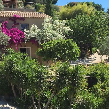 Les Terrasses Sur Mer Ольуль Экстерьер фото