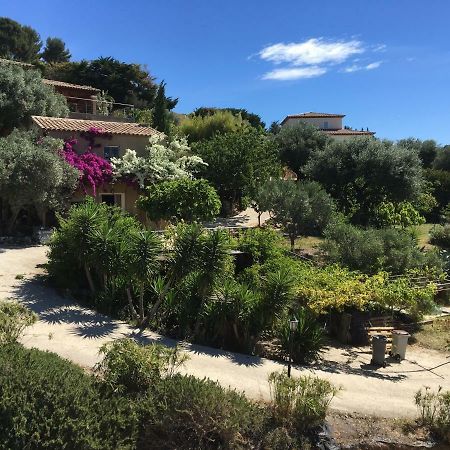 Les Terrasses Sur Mer Ольуль Экстерьер фото